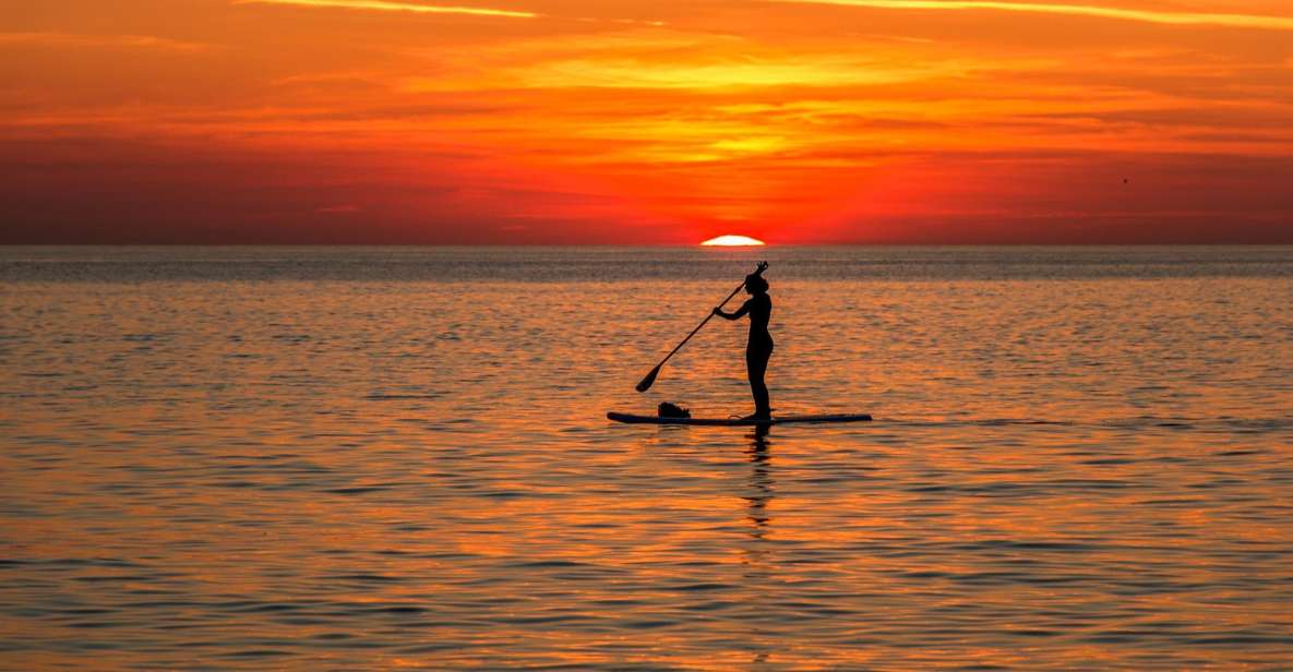 1 paddle board rental glide on the water with ease Paddle Board Rental: Glide on the Water With Ease