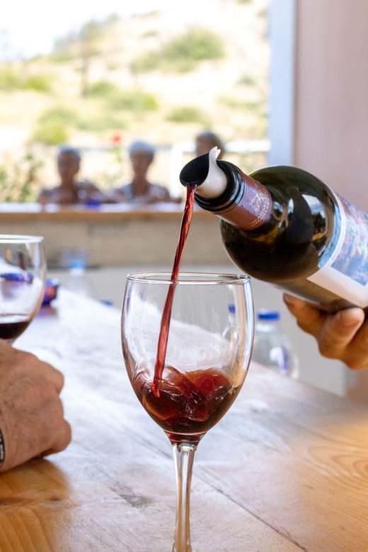 Rhodes: Cooking Class and Wine Tasting Experience - Highlights of the Experience