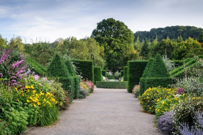 Royal Horticultural Society: Rosemoor Garden Ticket