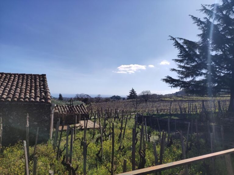 Sicily: Etna Volcano and Wine Tasting Tour