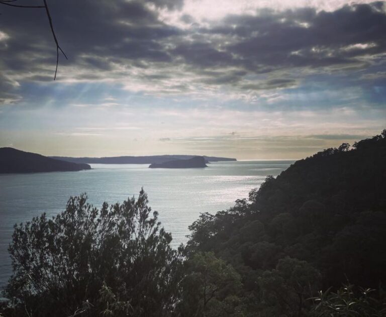 Sydney: Ku-Ring-Gai Chase National Park Day Tour With Lunch