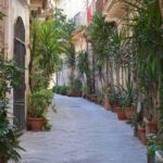 1 syracuse ortigia and neapolis guided walking tour Syracuse: Ortigia and Neapolis Guided Walking Tour