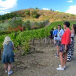 1 tuscany small group chianti wine tour with lunch Tuscany: Small-Group Chianti Wine Tour With Lunch