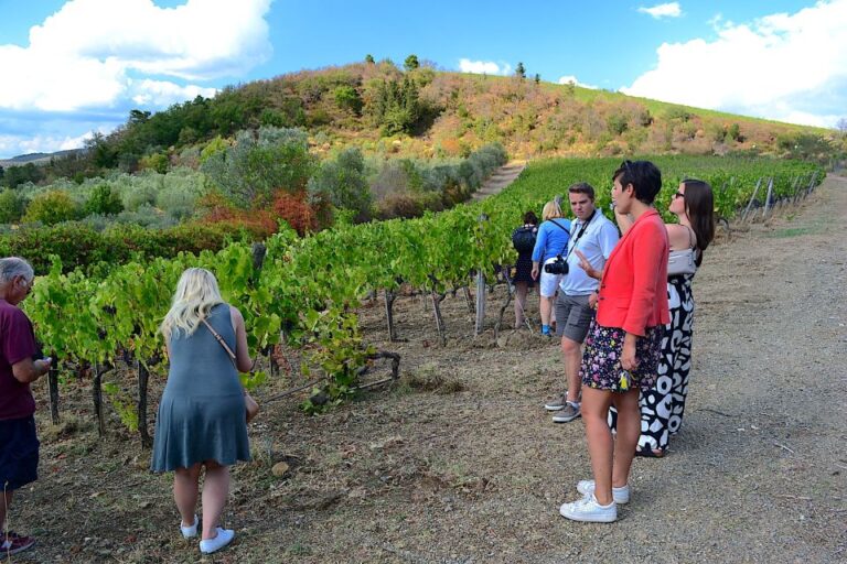 Tuscany: Small-Group Chianti Wine Tour With Lunch