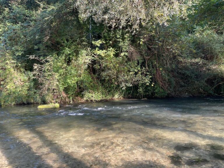 Valnerina: Fly Fishing Day With Guide