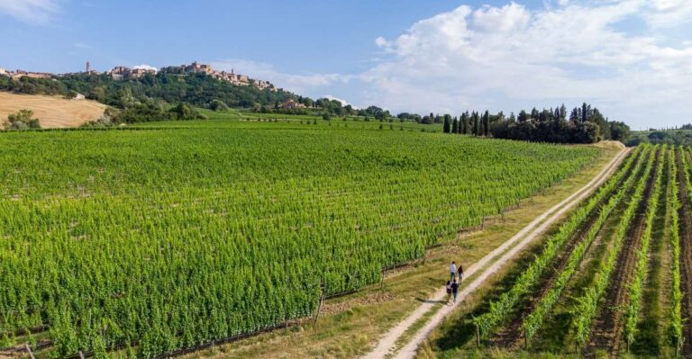 Wine Lovers Experience in Montepulciano: Half Day