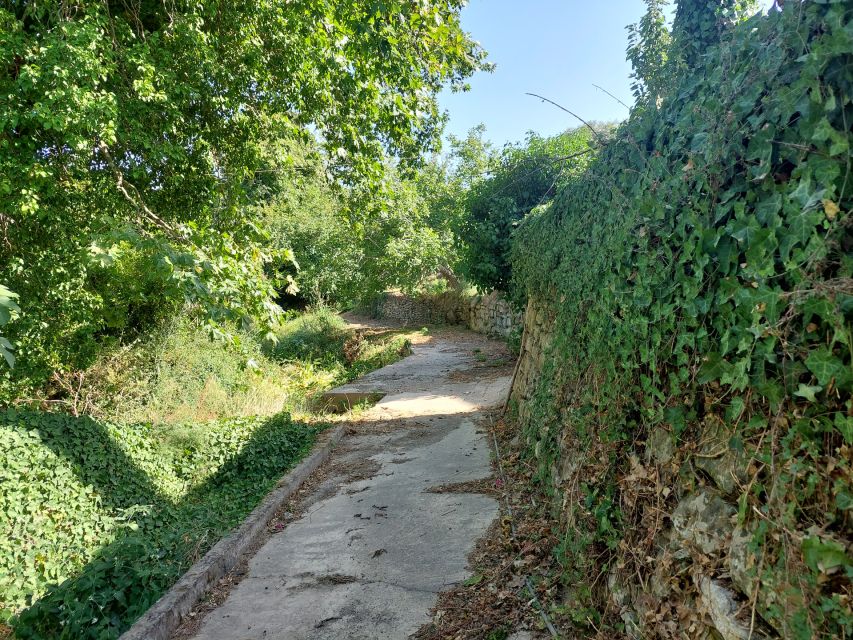 Chania: 5-Wine Tasting With Locals in Village Near Kissamos - Local Delicacies