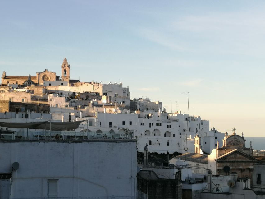 From Bari: Puglia and Matera Sightseeing Tour - Activity Description