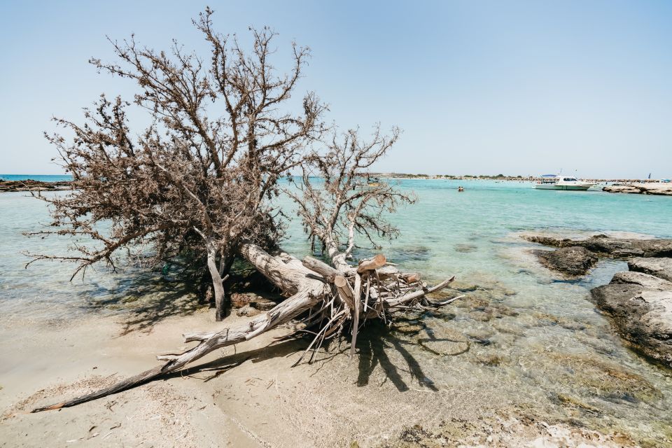 From Rethymno: Elafonissi Pink Sand Beach Tour - Inclusions