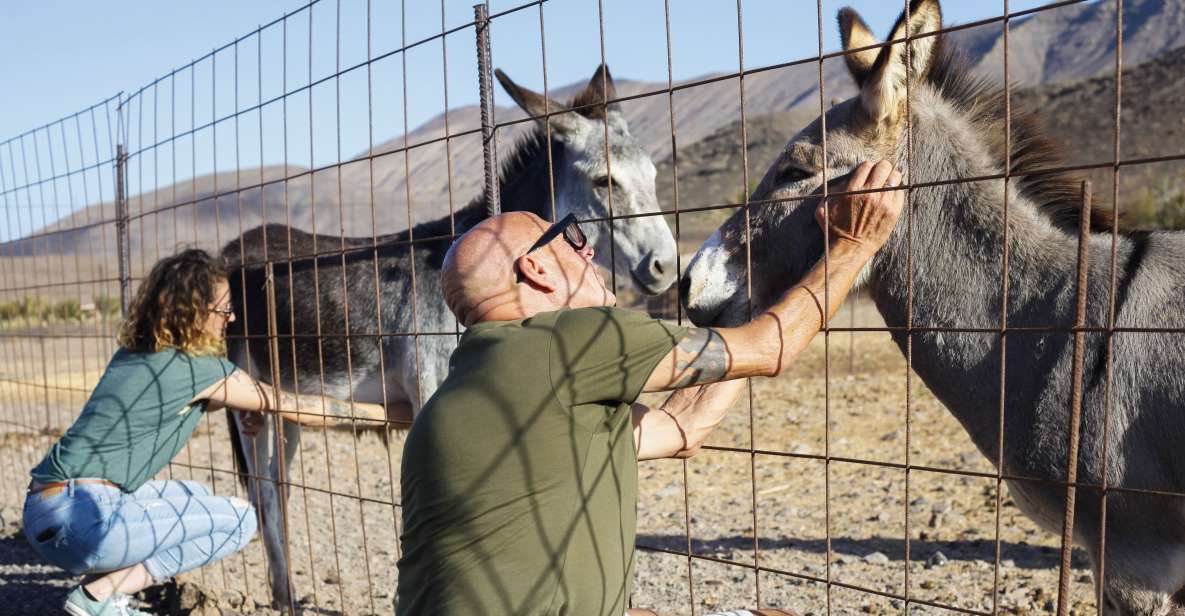 Fuerteventura Organic Farm Guided Tour W/ Optional Lunch - Tour Itinerary