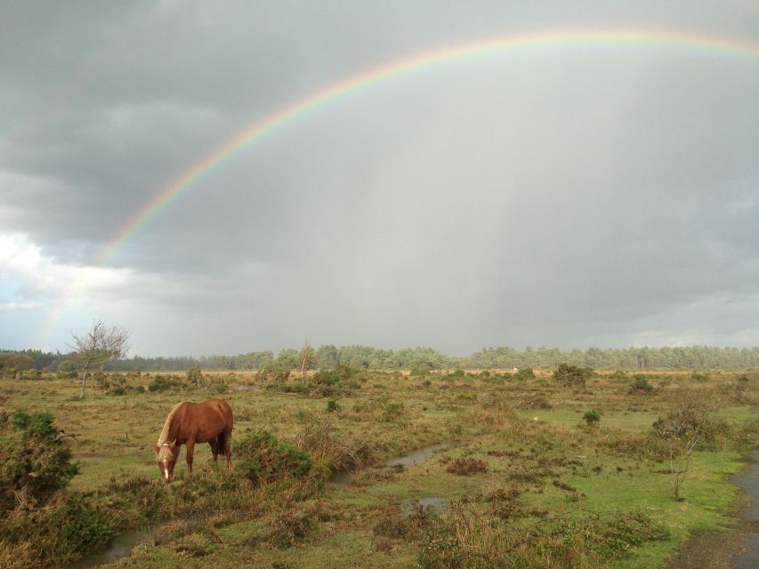 Introduction to the New Forest (Wilverley) - Booking Information