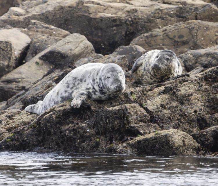 Mounts Bay, Penzance Discovery Boat Trip - Full Description