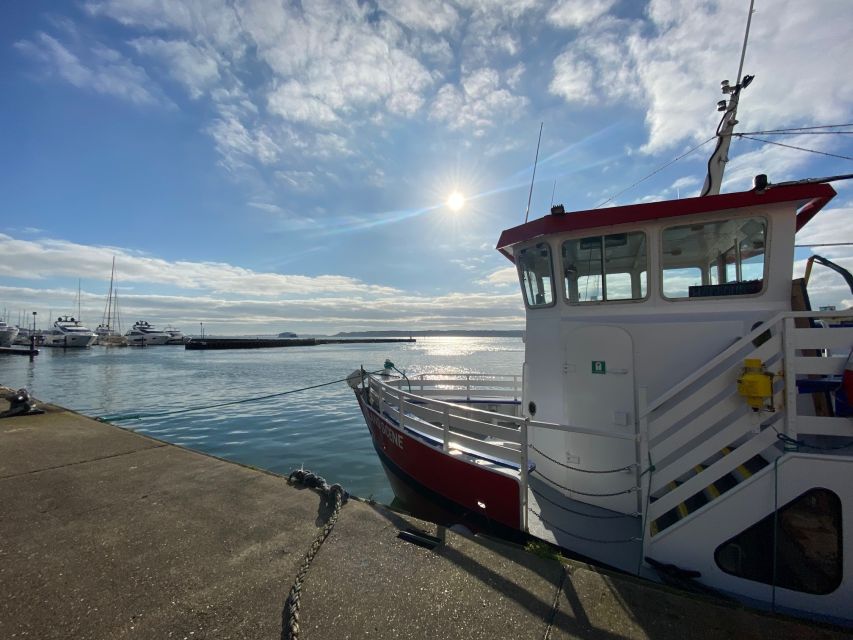 Poole Harbour Lights Cruise - Booking Information