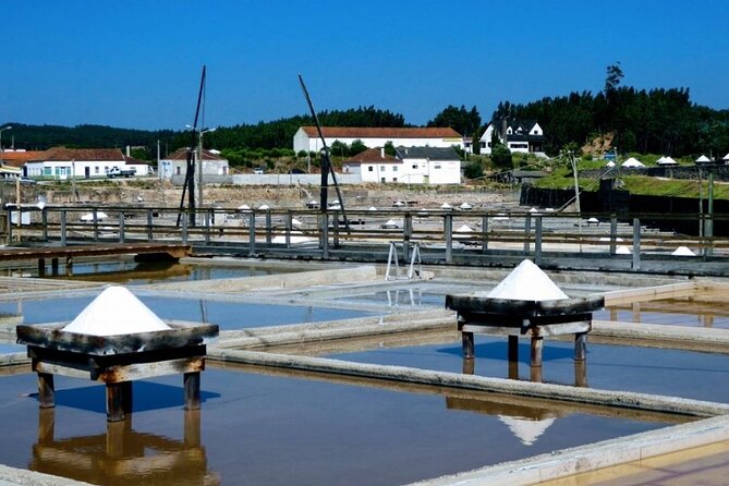 Private Tour to Peniche and Salinas De Rio Maior - Private Transportation Details