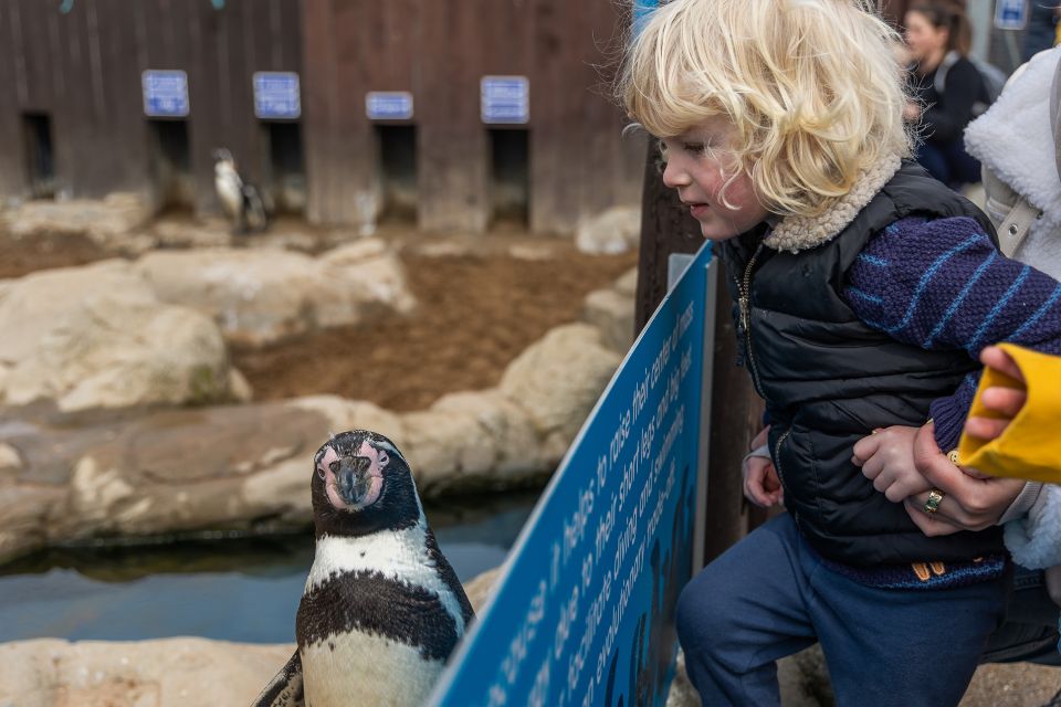 Sea Life Scarborough - Experience and Attractions