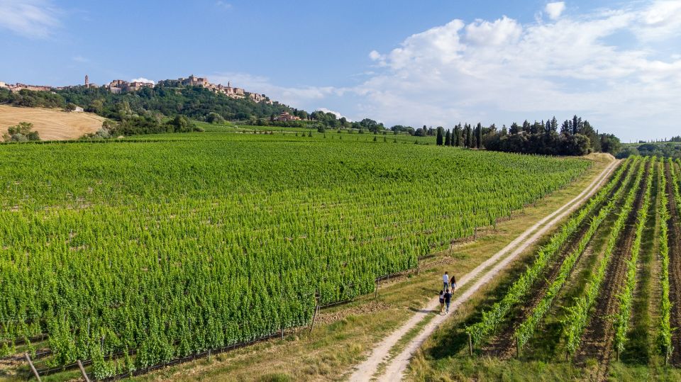 Wine Lovers Experience in Montepulciano: Half Day - Language Options and Cancellation Policy