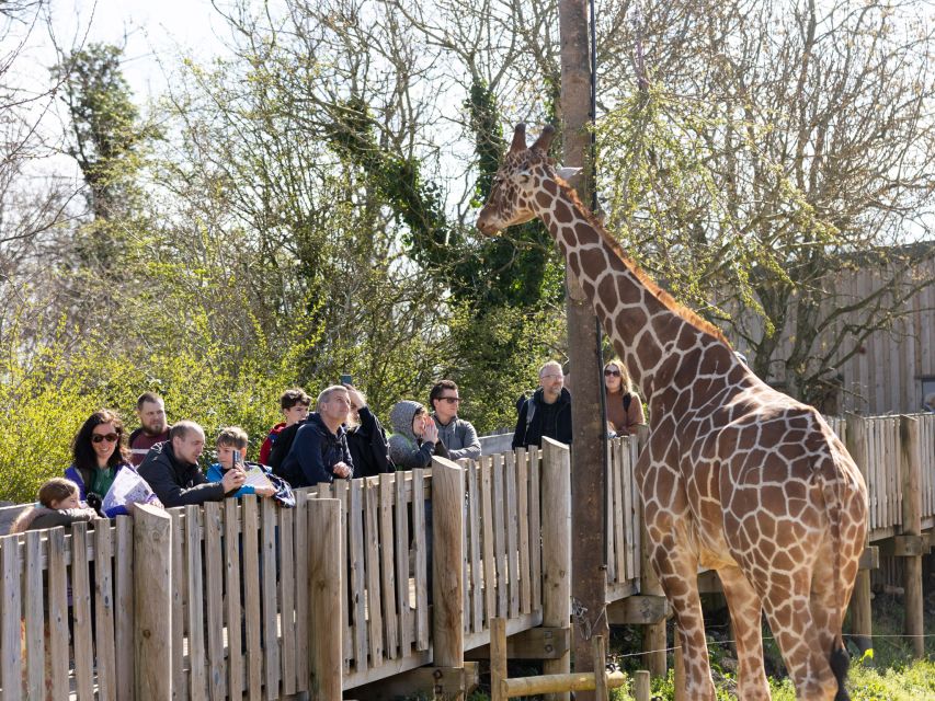 Bristol: Bristol Zoo Project Entry Ticket - Experience Highlights and Amenities