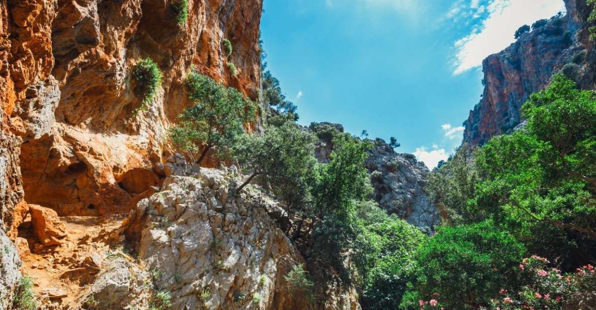 Crete: Kritsa Gorge Hike With Picnic & Swim Stop - Key Highlights