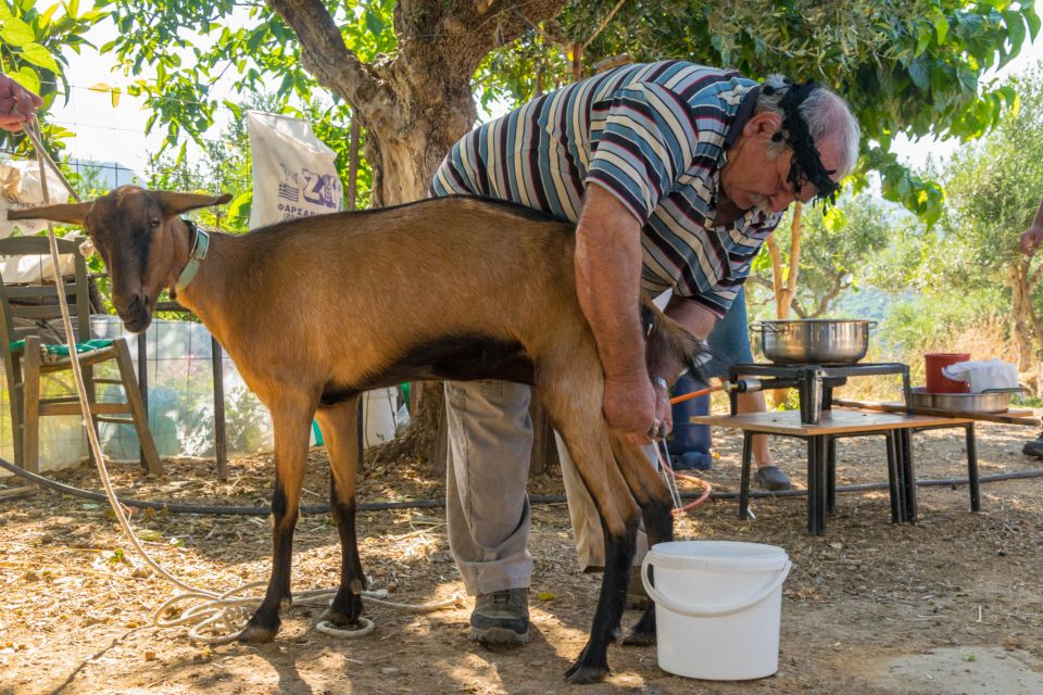 Crete: Lasithi Plateau and Cave of Zeus Off Road Safari Tour - Inclusions Provided