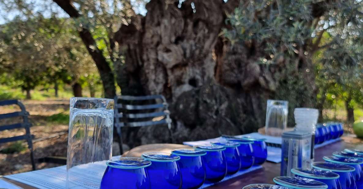 Ermioni: Olive Oil Tasting & Millennial Olive Tree Tour - Inclusions