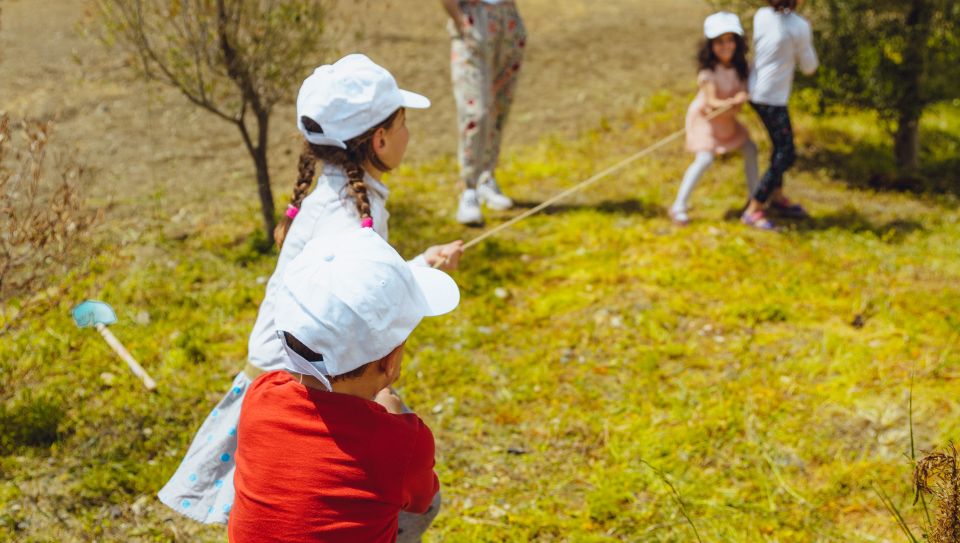 Family Experience in Eggares Olive Oil Museum - Experience Description