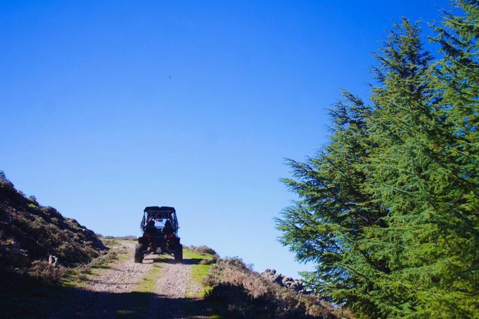 From Aritzo: Gennargentu Mountains Buggy Tour With Trek - Duration and Languages