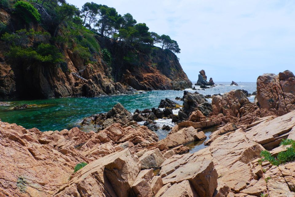 From Barcelona: Cliffs, Coves & Hiking in Costa Brava - Snorkeling and Cliff Jumping