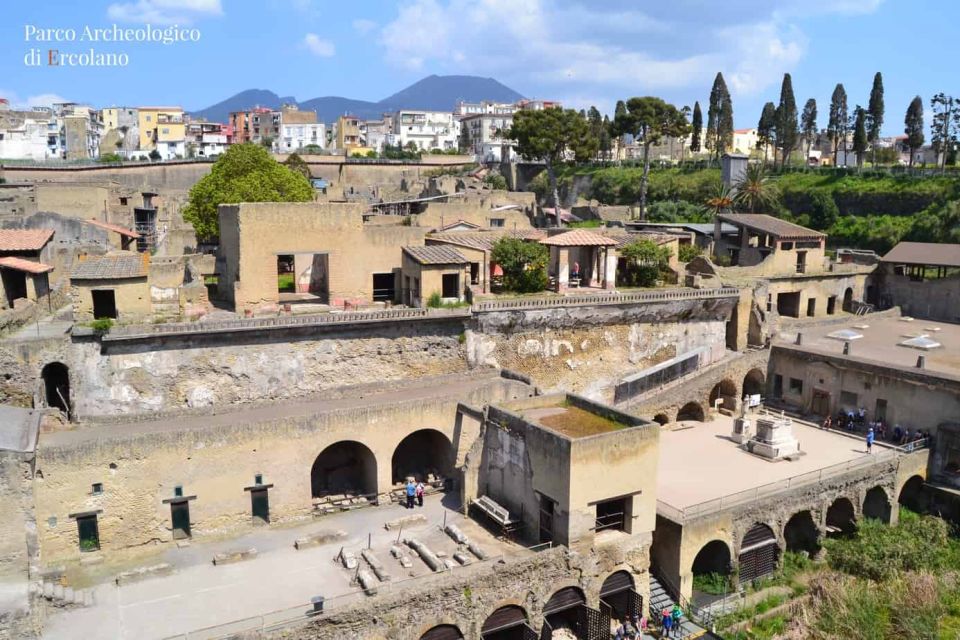 From Naples: Pompeii Guided Tour & Sorrento Plus Positano - Inclusions