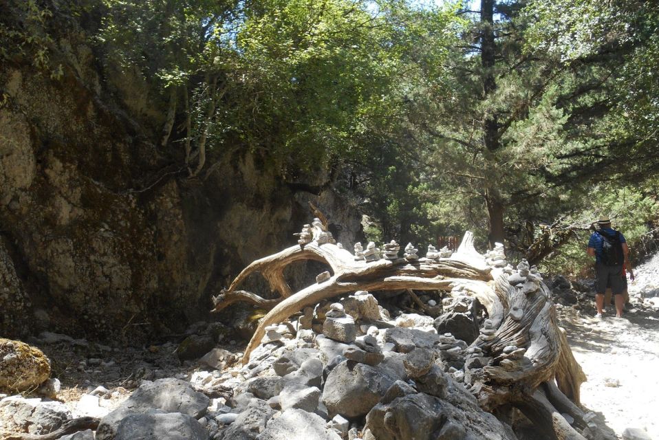 From Rethymno/Chania: Imbros Gorge Hike - Imbros Gorge Hiking Experience