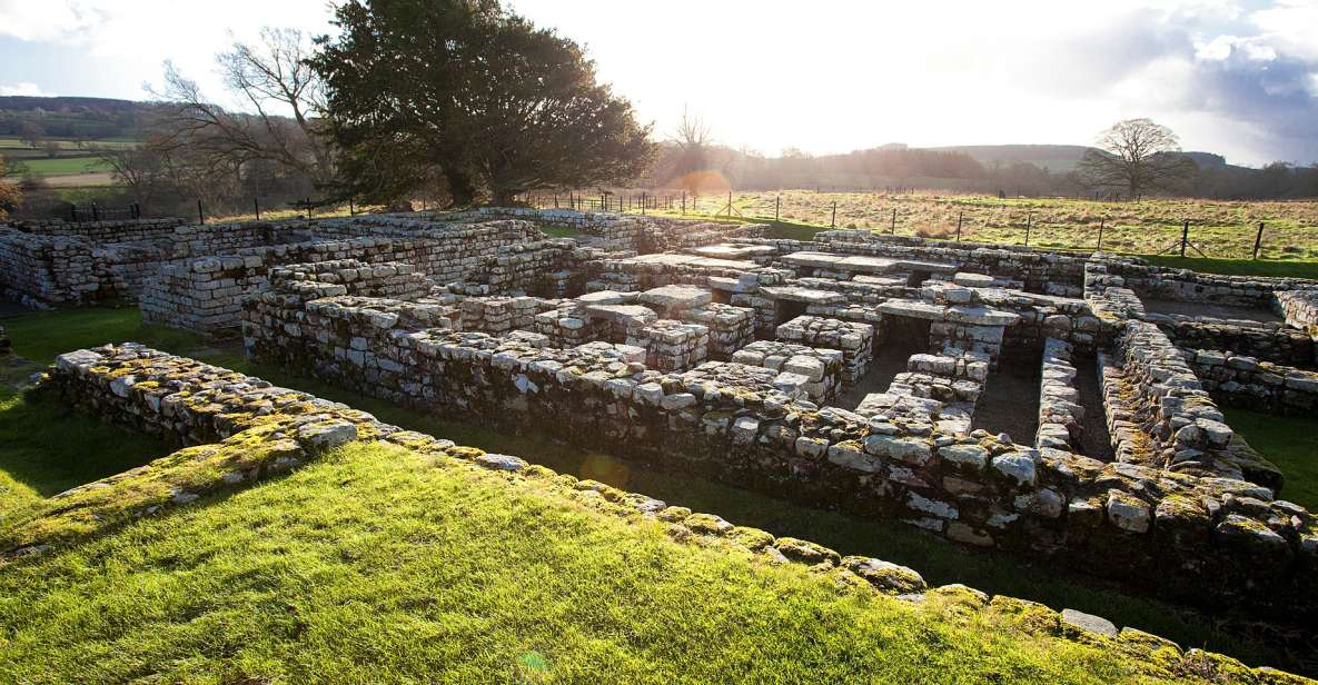 Hadrians Wall: Chesters Roman Fort and Museum Entry Ticket - Description