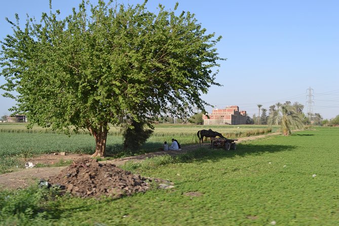 Half-Day Trip to Egyptian Green Farm From Cairo With Breakfast - Amenities and Breakfast Options