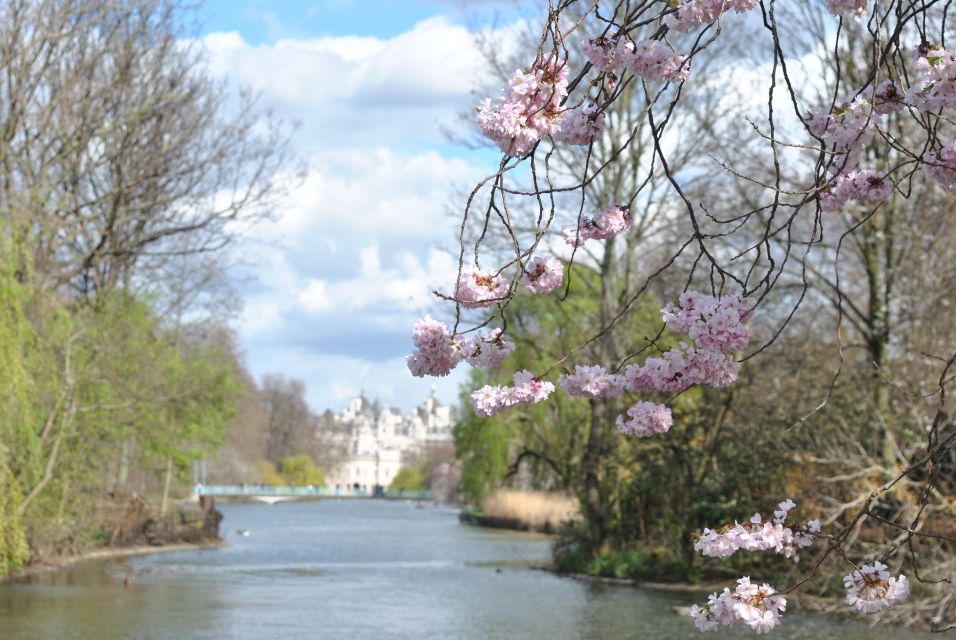 London: 4-Hour Panoramic Tour by Black Taxi - Sightseeing Highlights