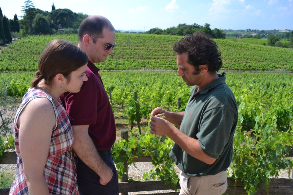 Montepulciano Wine & Cheese Tour With Lunch From Florence - Tour Highlights