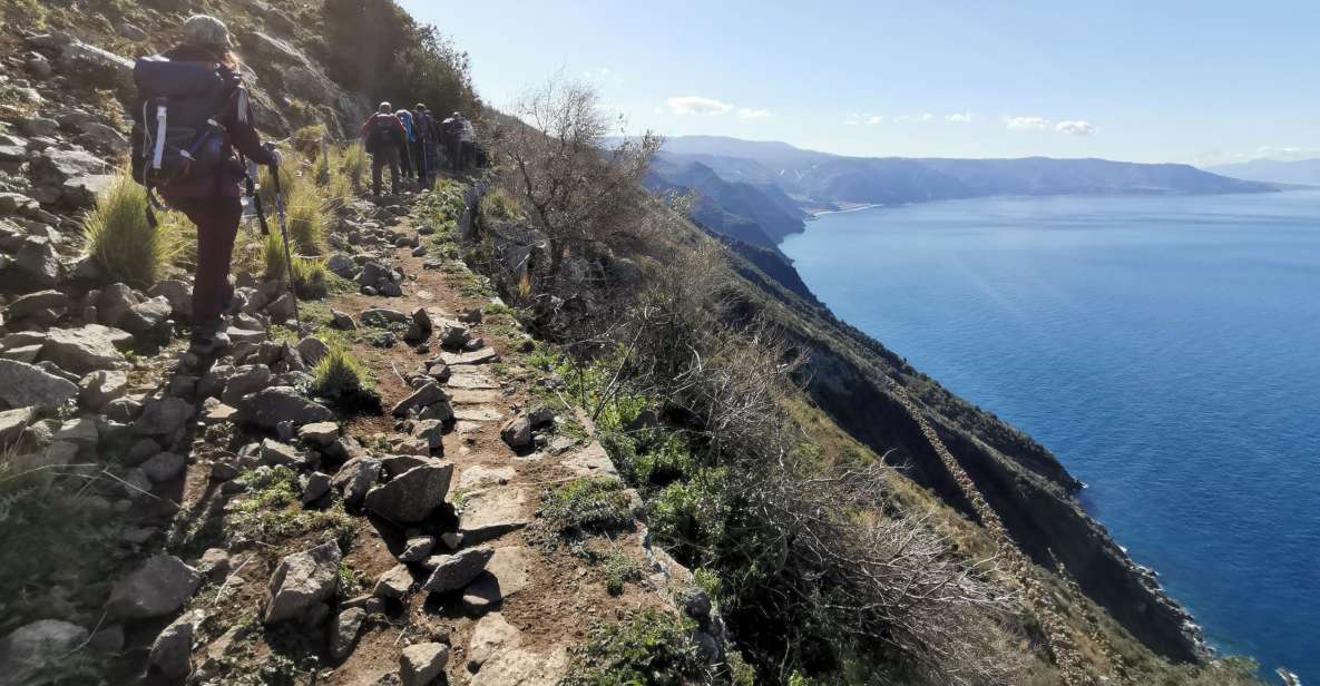 Palmi: Guided Tracciolino Trail Trek - Description