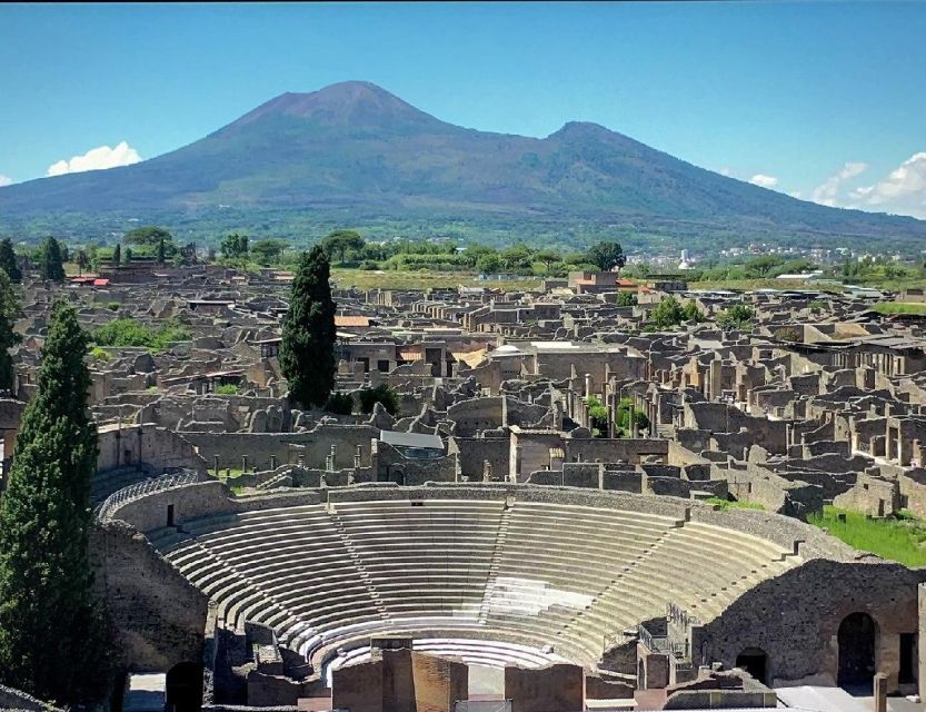 Private Tour: Pompeii and Herculaneum Excavations With a Guide From Naples - Highlights