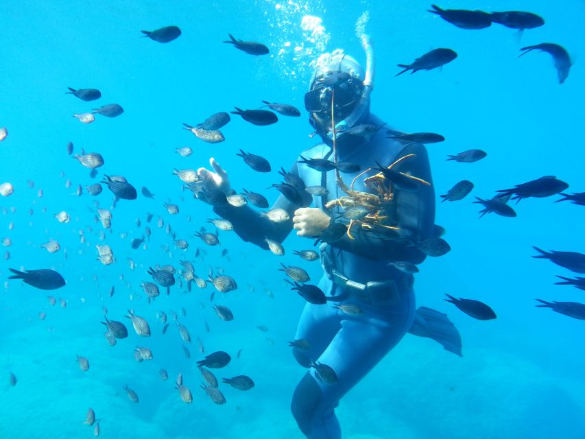 Rhodes Town: Yellow Submarine Cruise With Underwater Views - Diving Show