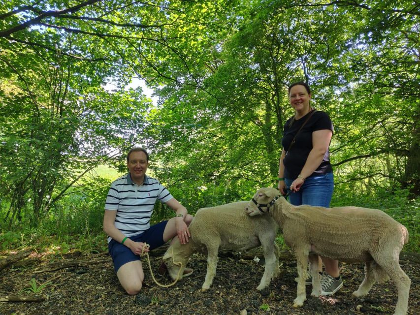 Shropshire Sheep Trekking - Activity Details