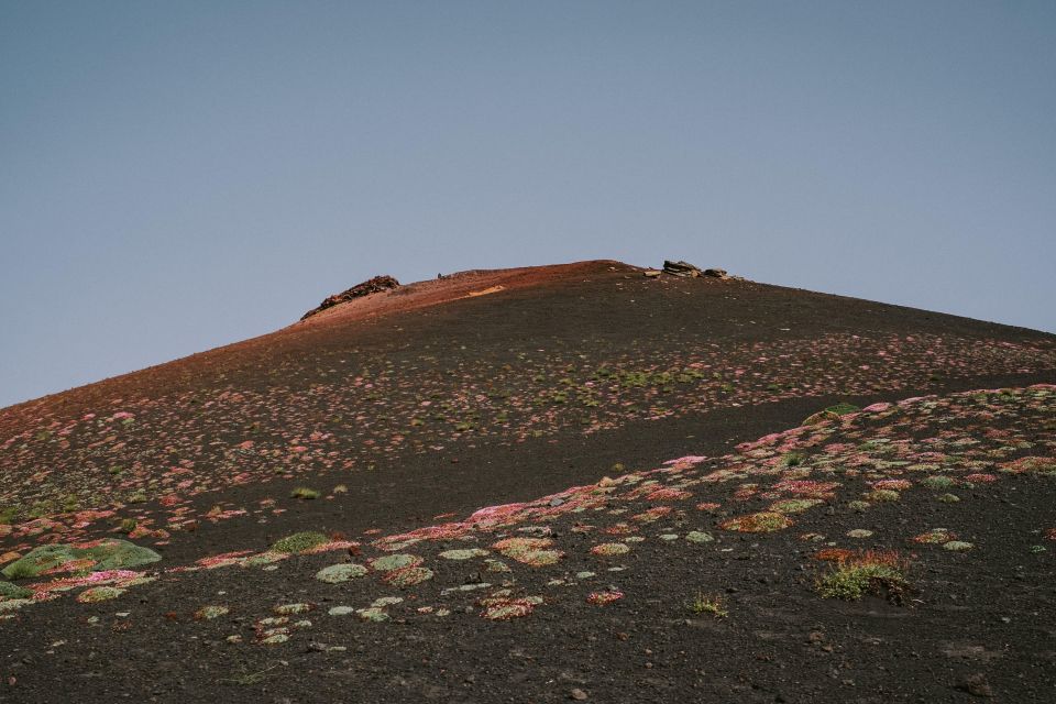 Sicily: Etna Volcano and Wine Tasting Tour - Inclusions and Exclusions