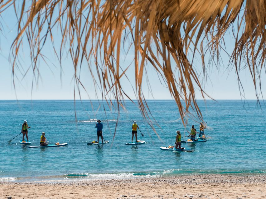 Stegna Beach: Stand Up Paddle Boarding for Beginners - Instructor Expertise