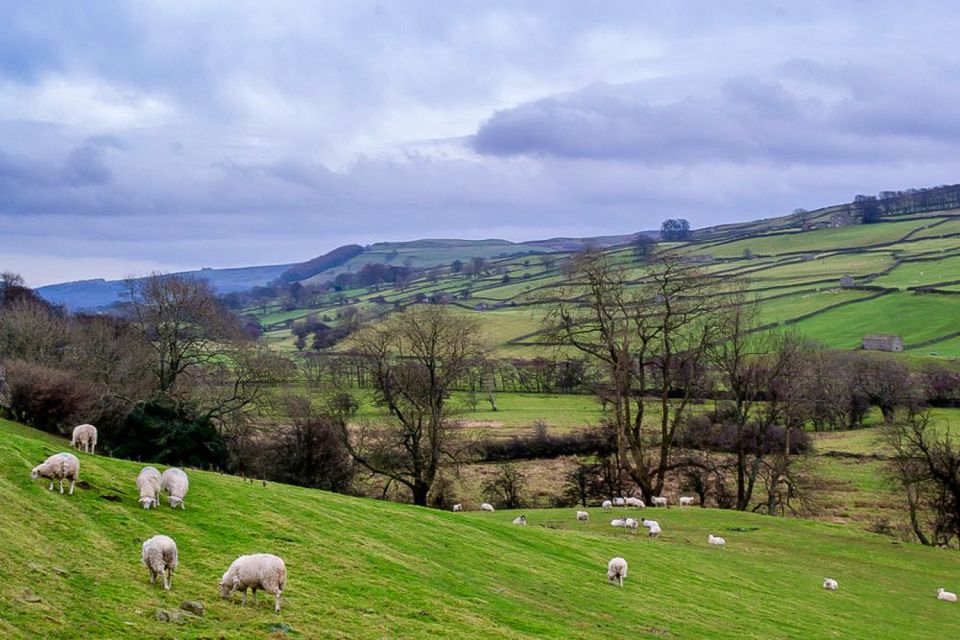 The Yorkshire Dales Tour From York - Meeting Point Information