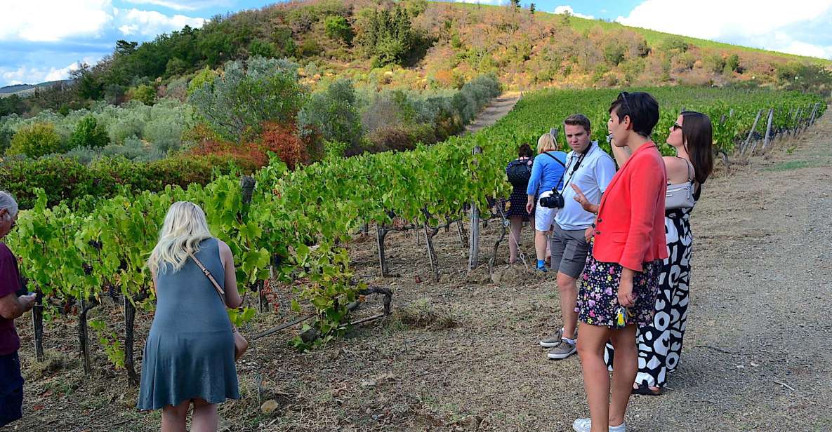 Tuscany: Small-Group Chianti Wine Tour With Lunch - Experience