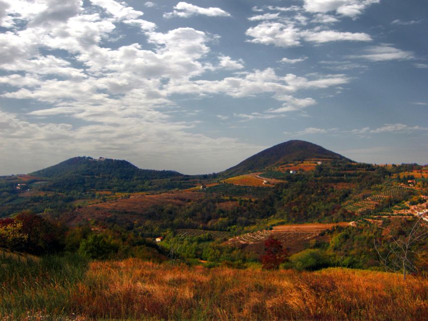 Wine Tour in the Euganean Hills From Padua - Highlights