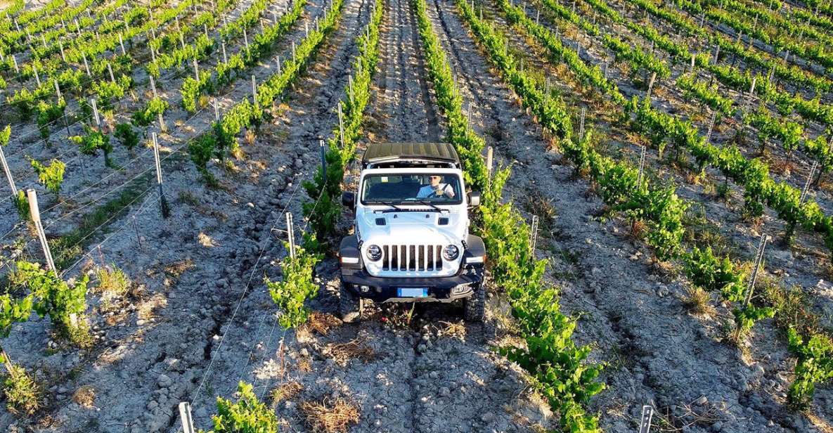 4x4 Jeep Vineyard Safari Tour With Lunch and Wine Tasting - Inclusions