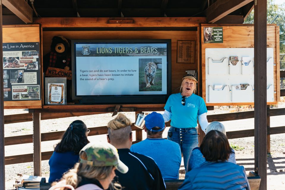 Alpine: Lions Tigers & Bears Animal Sanctuary Guided Visit - Customer Reviews