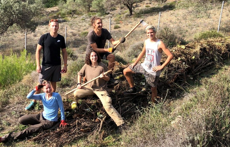 Athens: Eco Tour in the Living Museum of Sustainability - Activity Description