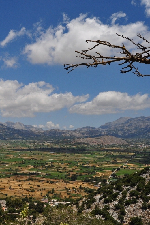 Crete: Lasithi Plateau and Knossos Palace Day Tour - Important Information