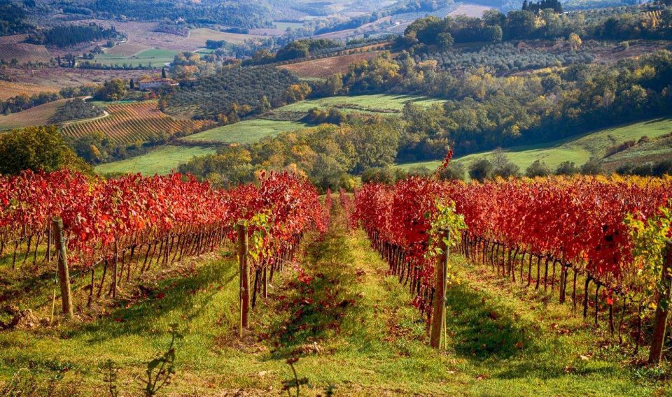 Florence: Tuscany Chianti Winery Private Day-Trip With Lunch - Customer Reviews