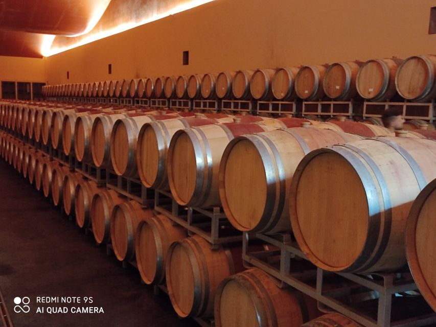 From Civitavecchia: Tuscany-Latium Wine Tour With Tastings - Customer Reviews