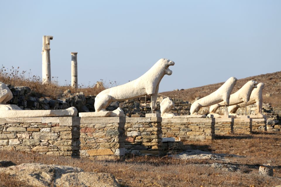 From Mykonos: Afternoon Delos Cruise & Guided Tour - Meeting Point