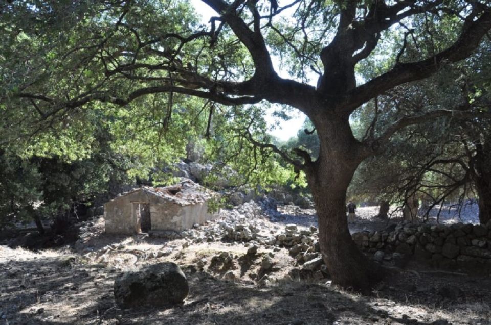 From Rethymno/Chania: Imbros Gorge Hike - Free Time and Swimming at Sfakia